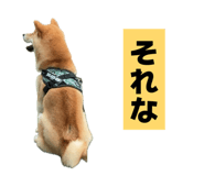 857564492