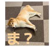 857564505