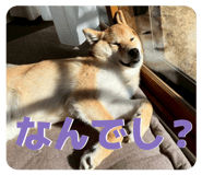 857564508