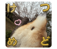 857564512