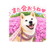 857564681