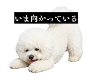 857564889