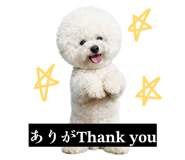 857564890