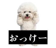 857564892