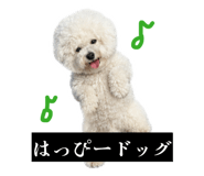 857564896