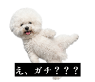 857564901