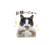 857564993