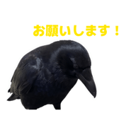 857565204