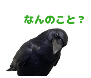 857565205
