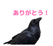 857565206