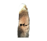 857565562