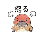 857566009