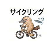 857566022