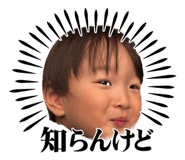857566166