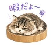 857567057