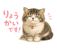 857567058