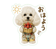 857567433
