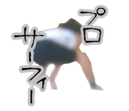 857568336