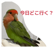 857568607
