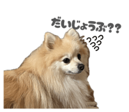 857570376