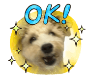 857571260