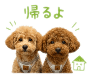 857572965