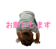 857573028