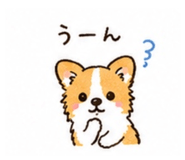 857573062