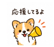 857573066