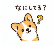 857573070