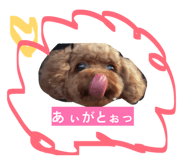857573081