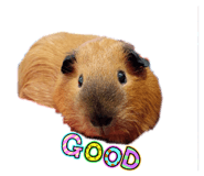 857573161