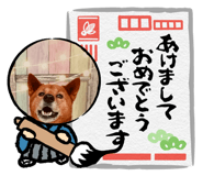 857573353