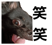 857573398