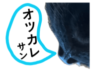 857573464