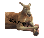857574037