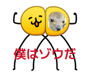 857574263
