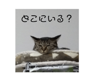 857574582