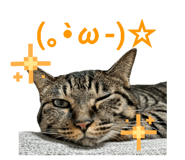 857574588