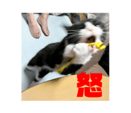857574599