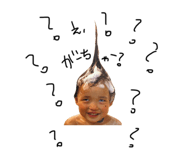 857575562