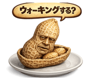 857575655