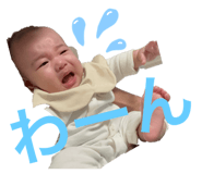857575827