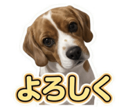 857576003