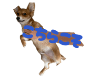 857576669