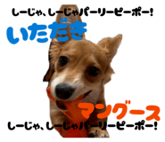 857576678