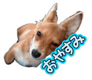 857576679