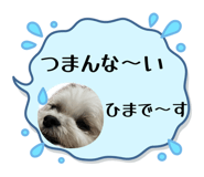 857577339