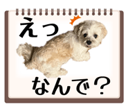 857577343