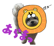 857577344